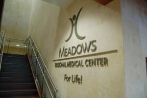 meadows regional medical center